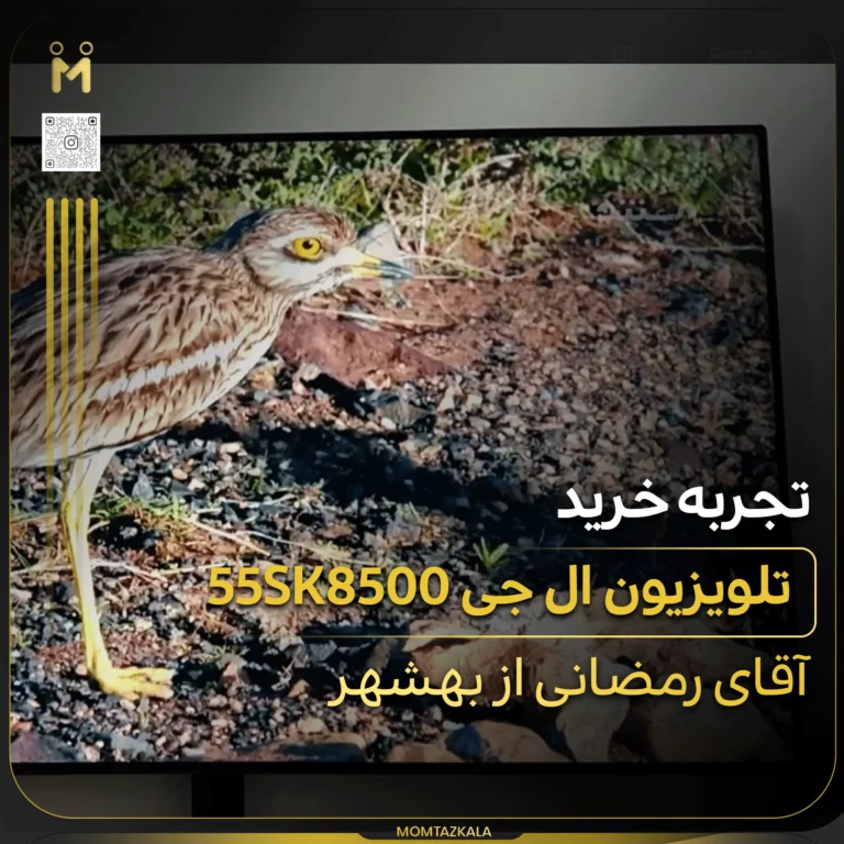 رمضانی بهشهر 55sk8500